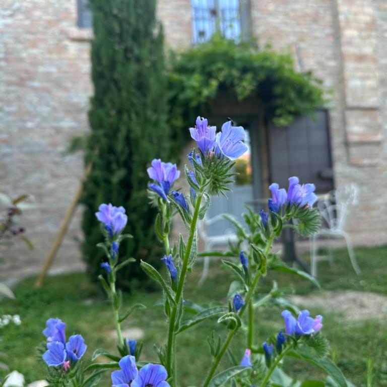 Casaforte La Bastide - Suite Superior - 9
