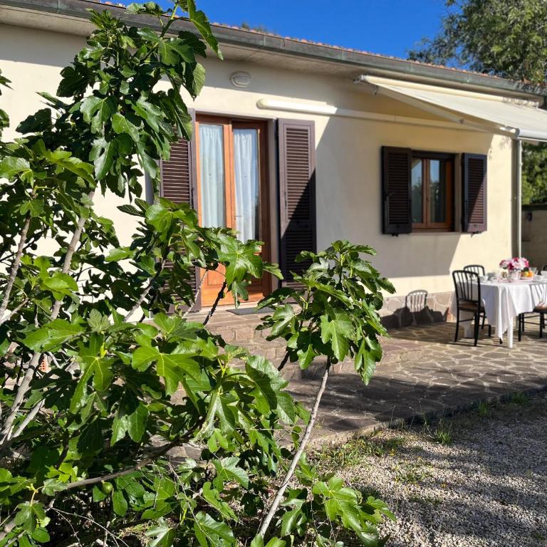 La casa sul tramonto - Capoliveri - services included - Casa con 2 Camere da Letto - 2