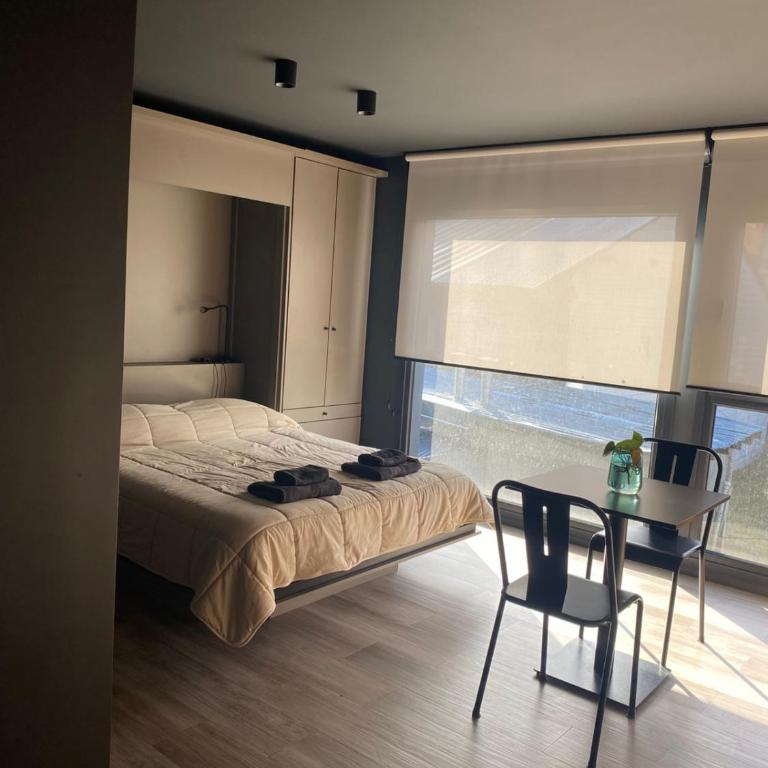 Edificio Pantera - monoambiente 18 - One-Bedroom Apartment - 19