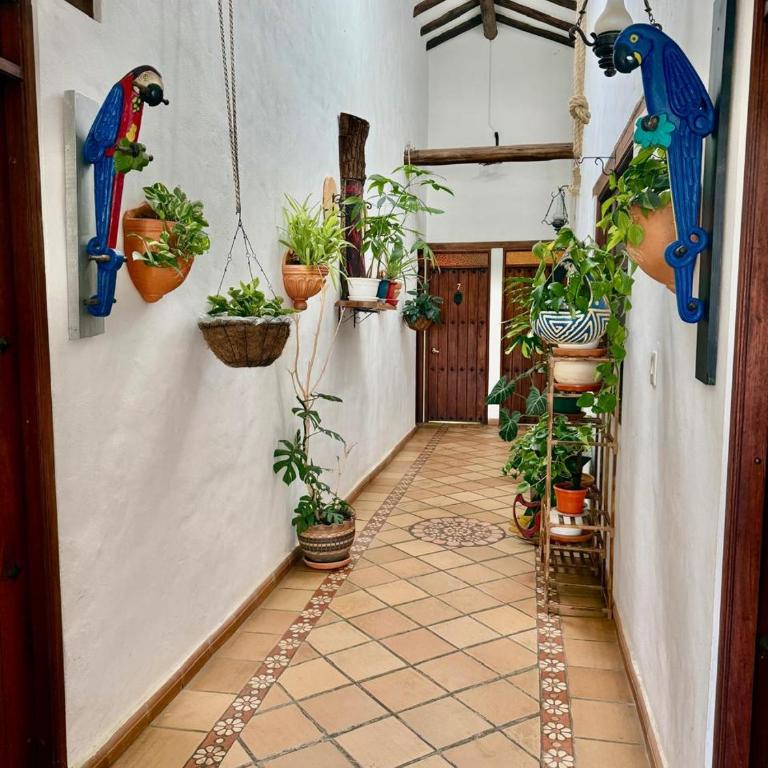 Hotel El Peregrino De La Villa - Habitación Triple Confort - 4