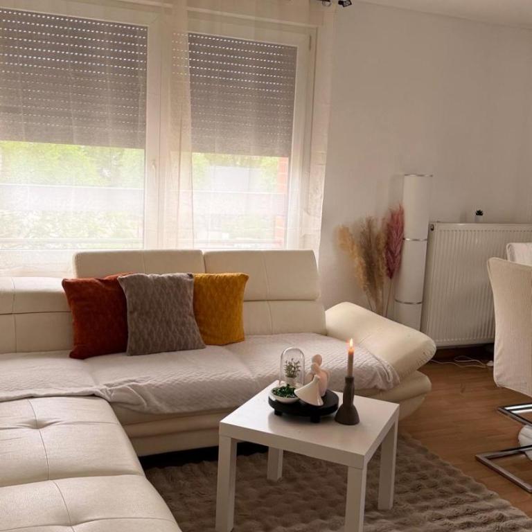 Vue sur le Rhin en plein coeur de la ville - One-Bedroom Apartment - 1