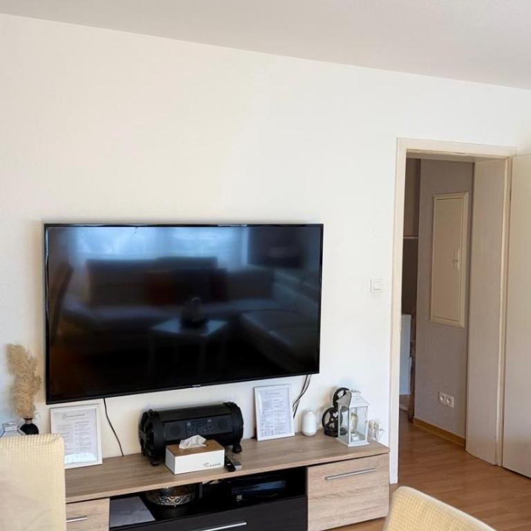 Vue sur le Rhin en plein coeur de la ville - One-Bedroom Apartment - 4