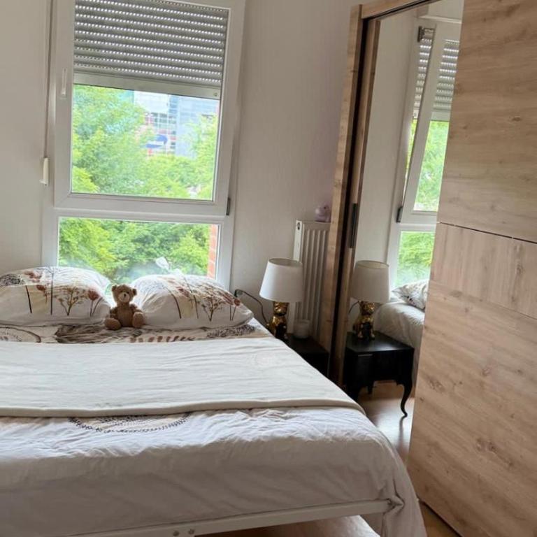 Vue sur le Rhin en plein coeur de la ville - One-Bedroom Apartment - 5