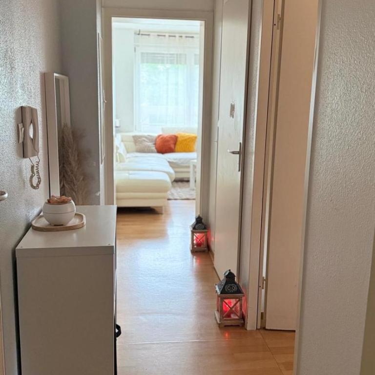 Vue sur le Rhin en plein coeur de la ville - One-Bedroom Apartment - 9