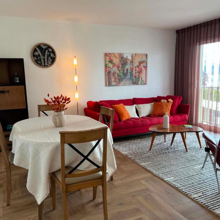 Bel appartement avec animaux admis à Évian - Apartamento de 2 dormitorios - 1