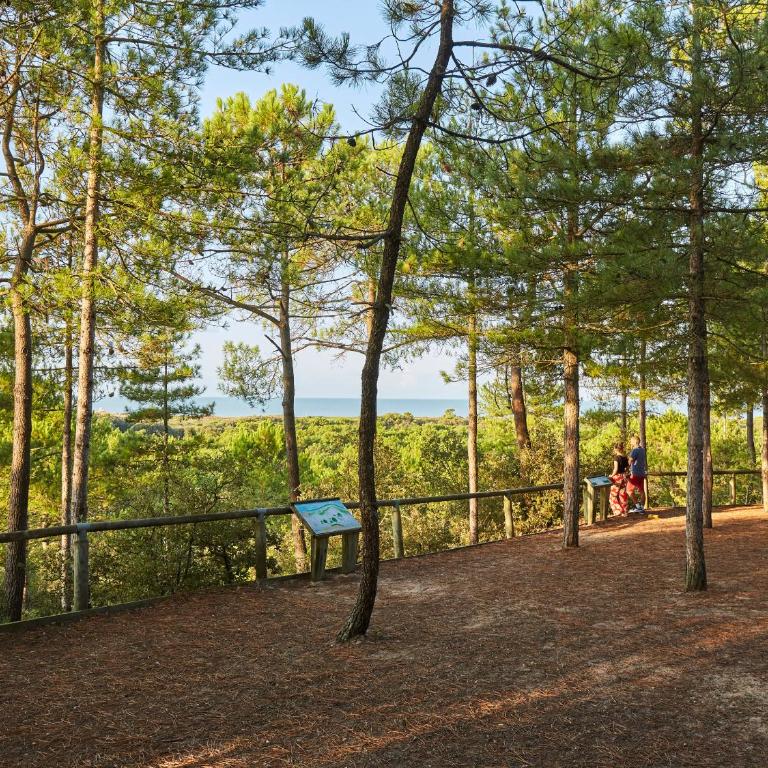 Appartement en front de mer avec garage, WIFI et grand balcon - Saint-Hilaire-de-Riez - FR-1-652-31 - Appartement - 25