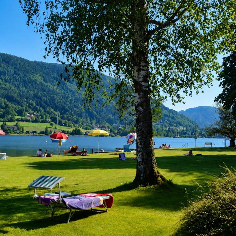 Panorama apartment on Lake Ossiach - Apartment mit 1 Schlafzimmer - 5