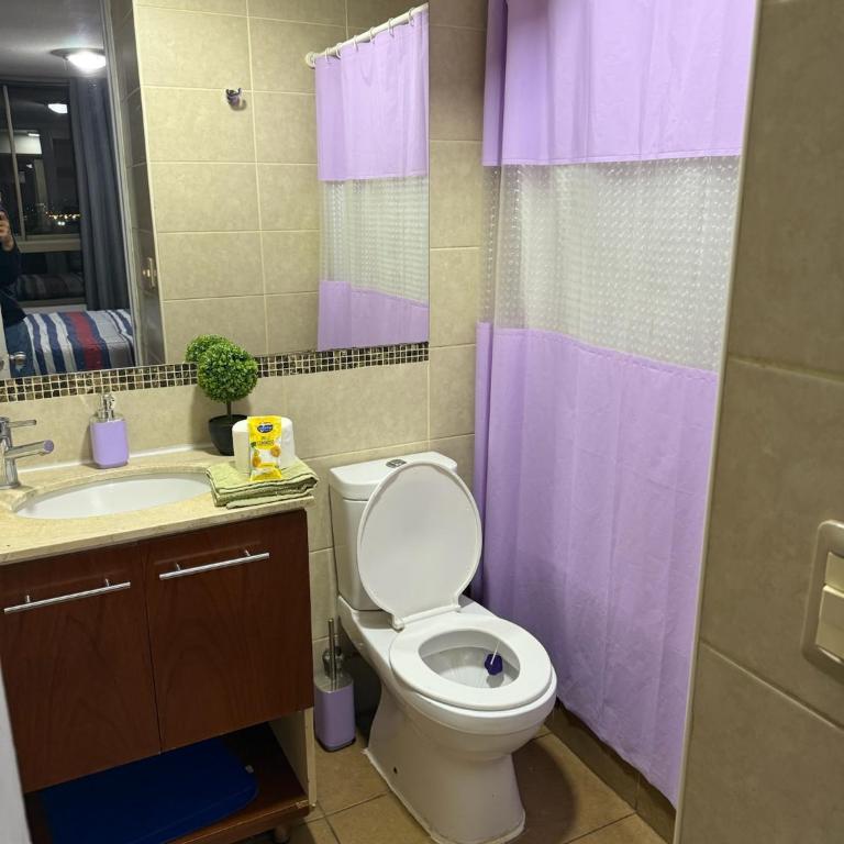 Andina suite 8 - One-Bedroom Apartment - 7