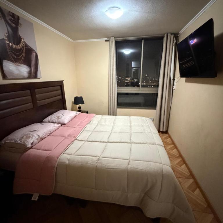 Andina suite 9 - One-Bedroom Apartment - 2