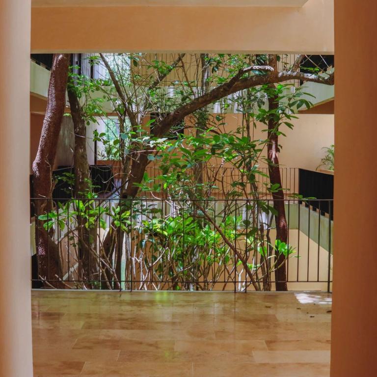 Chic Jungle Studio Balcony Priv Pool Steam & Gym - Estudio - 39