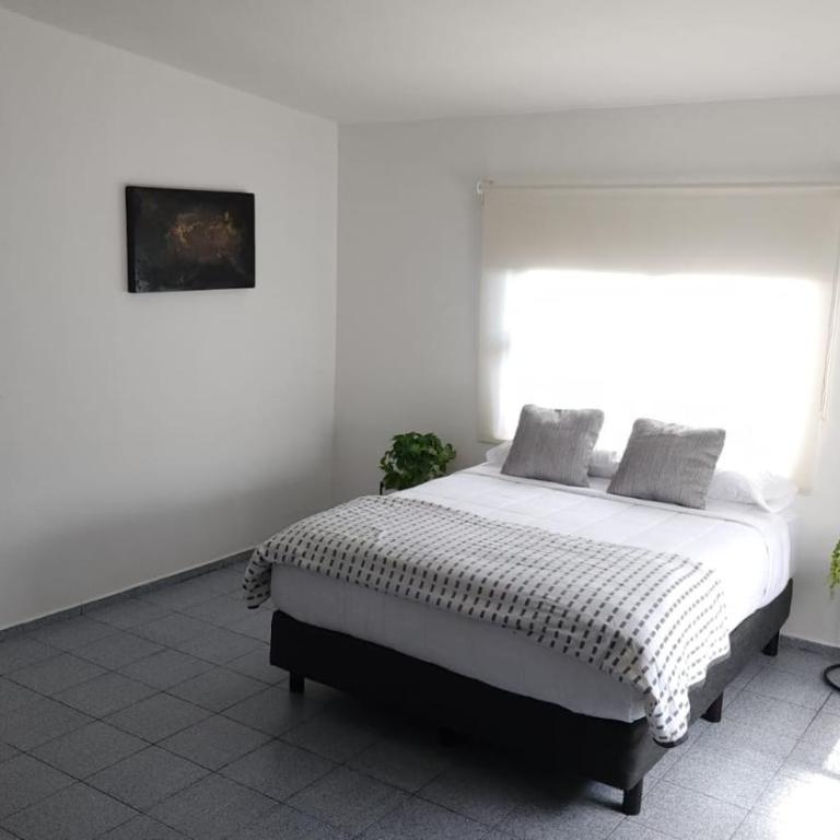 La Pastora - Apartamento de 1 dormitorio - 18