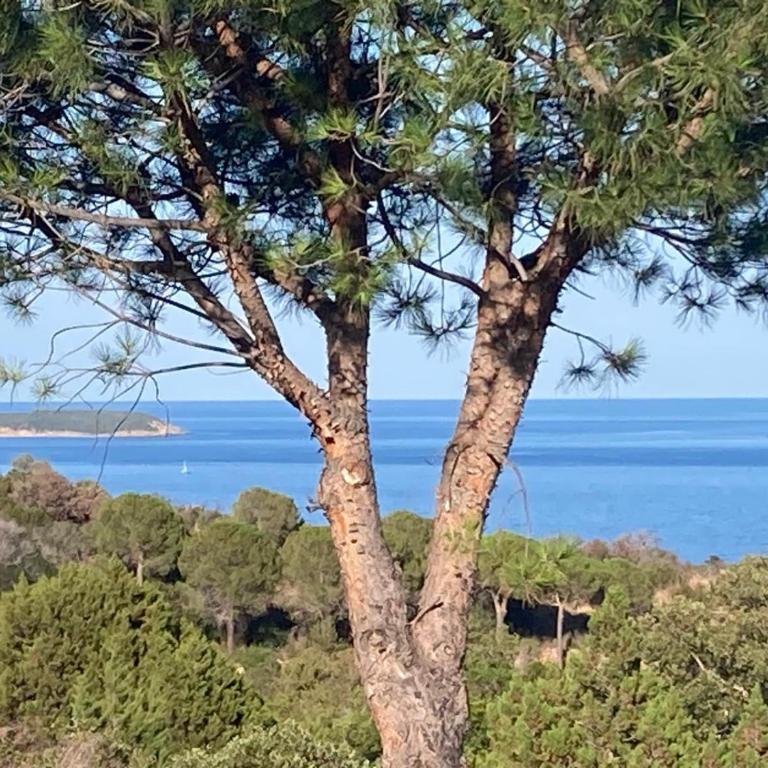 Logement A Nepita splendide vue mer avec piscine - Casa de 2 dormitorios - 61