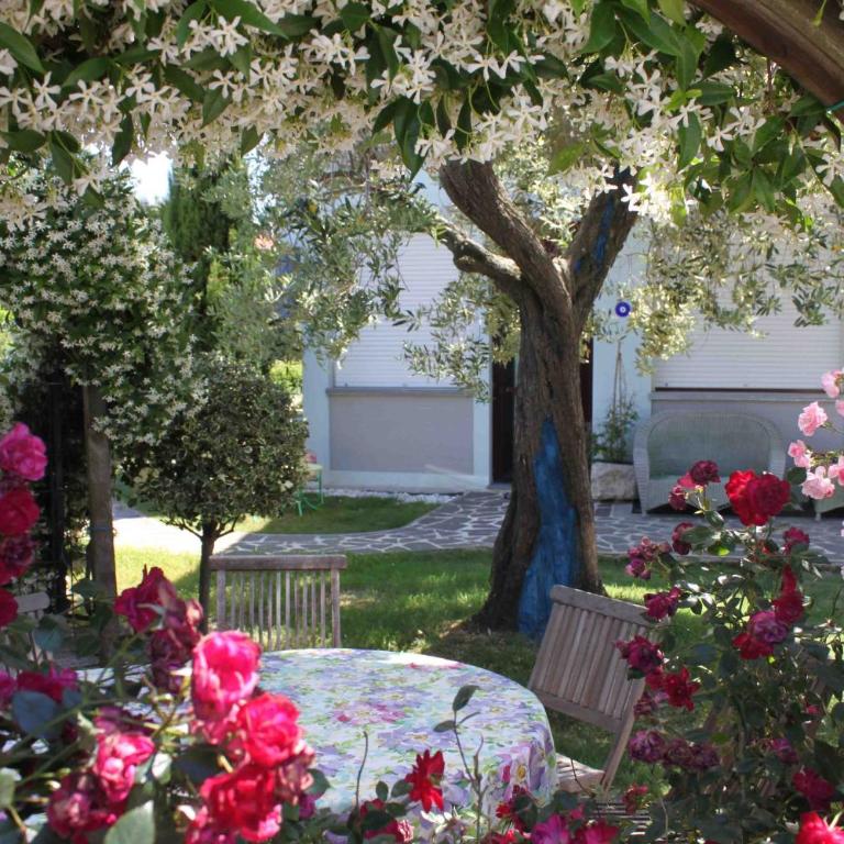 Appartamento Stella Marina - Appartamento Monolocale - 13