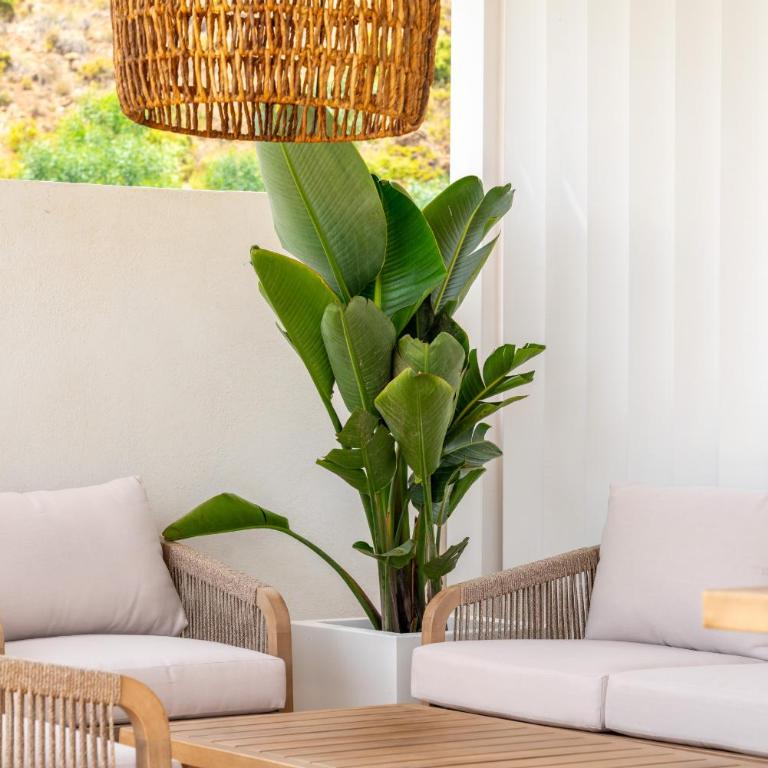 Penthouse in El Paraiso - TakeCareMalaga - Apartment - 28