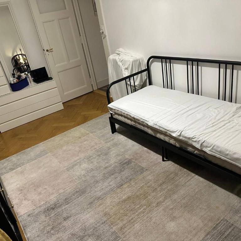 Jet Deau Eaux-Vives - Appartement - 8