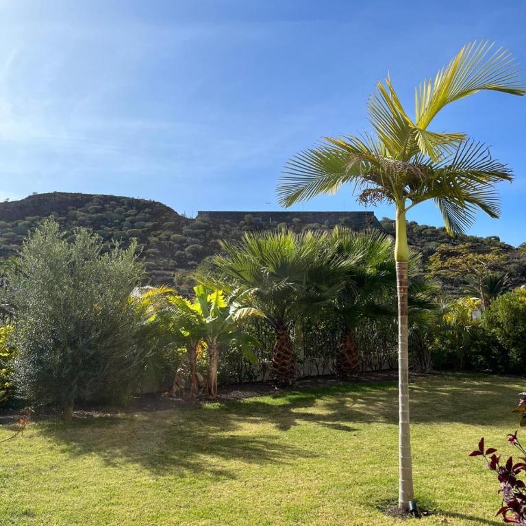 Casa Karolina - Apartamento de 1 dormitorio con vistas al jardín - 12