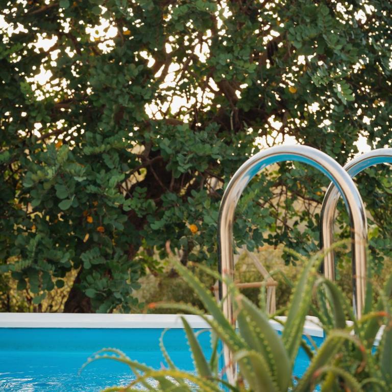 Le dimore di Ines- casa vacanze con piscina - Villa con Vista Giardino - 22