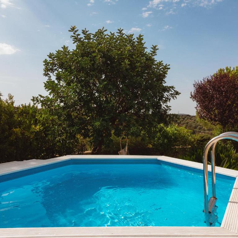 Le dimore di Ines- casa vacanze con piscina - Villa con Vista Giardino - 6