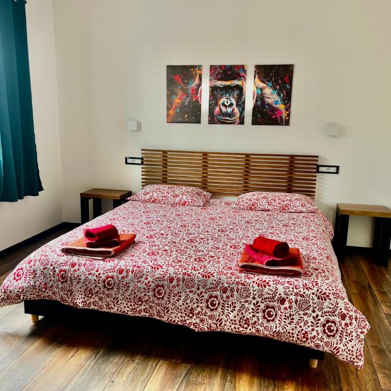 Penthouse of Port - Maison 3 Chambres - 2