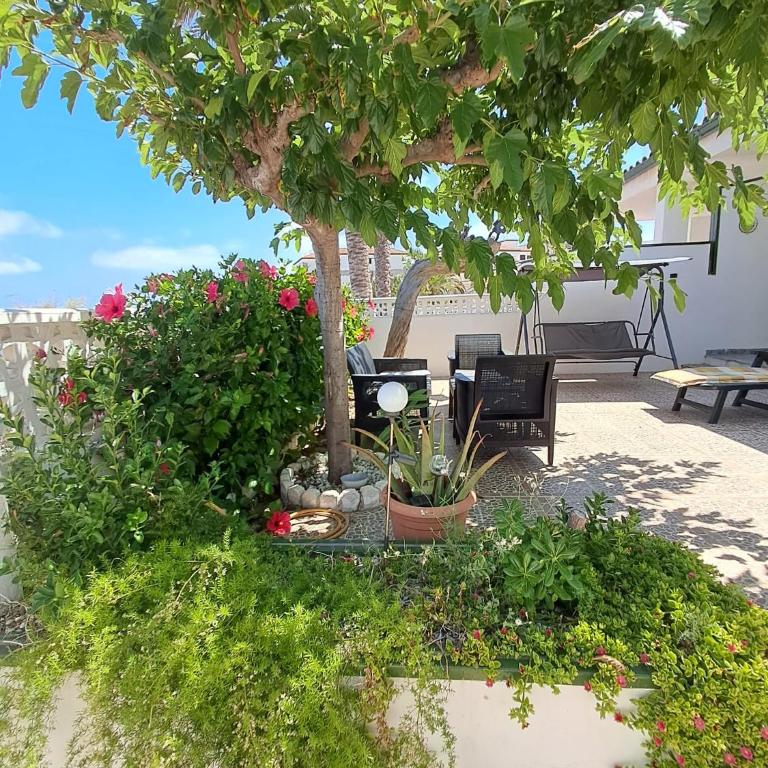 Akimaria Residence - Casa - 4