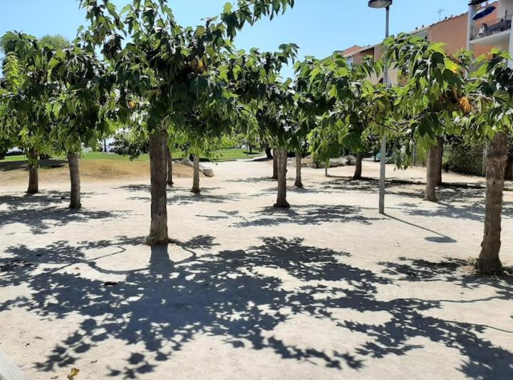 Le bleu varois - Appartamento con 3 Camere da Letto - 12