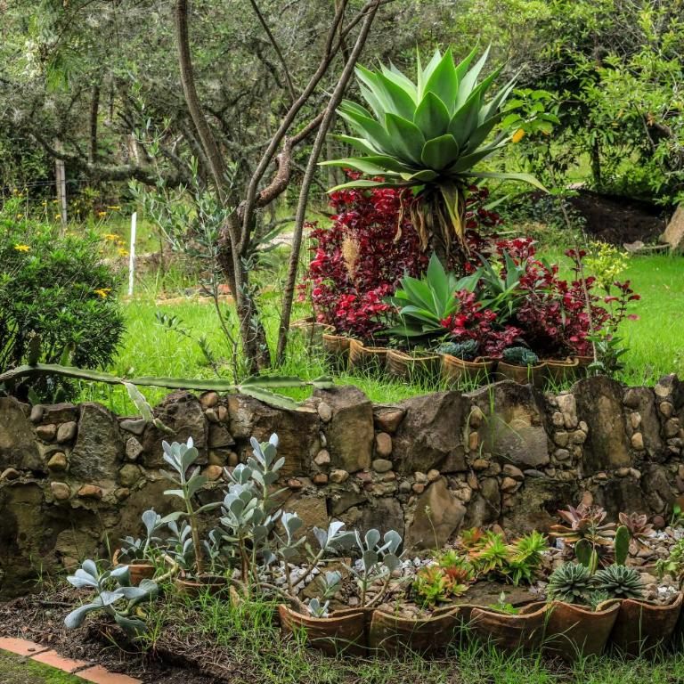Casa unica agradable de campo con boveda - Casa de 3 dormitorios - 53