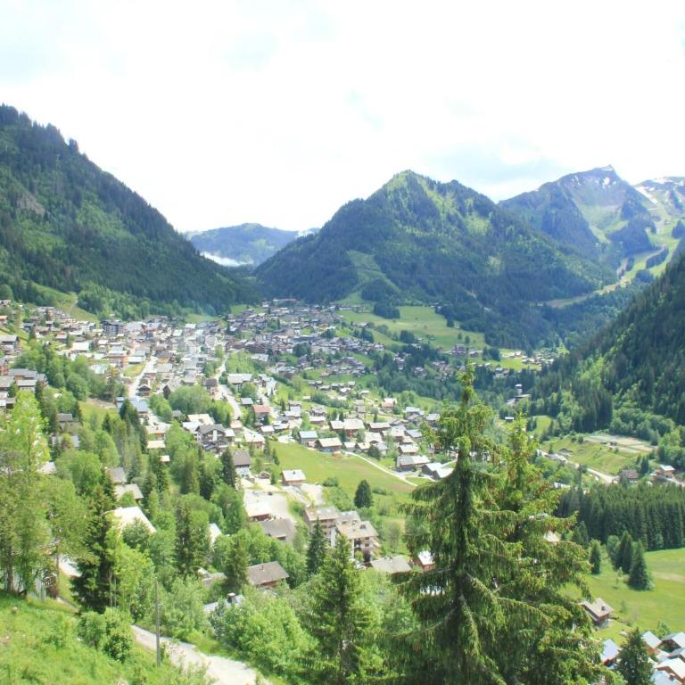 Apartment in Petit Châtel near Cable Car - Appartement 1 Chambre - 19