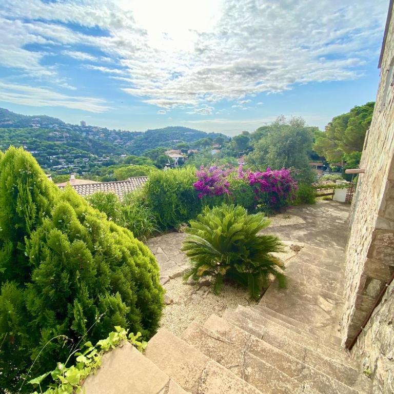 Balu - Villa de 1 dormitorio - 6