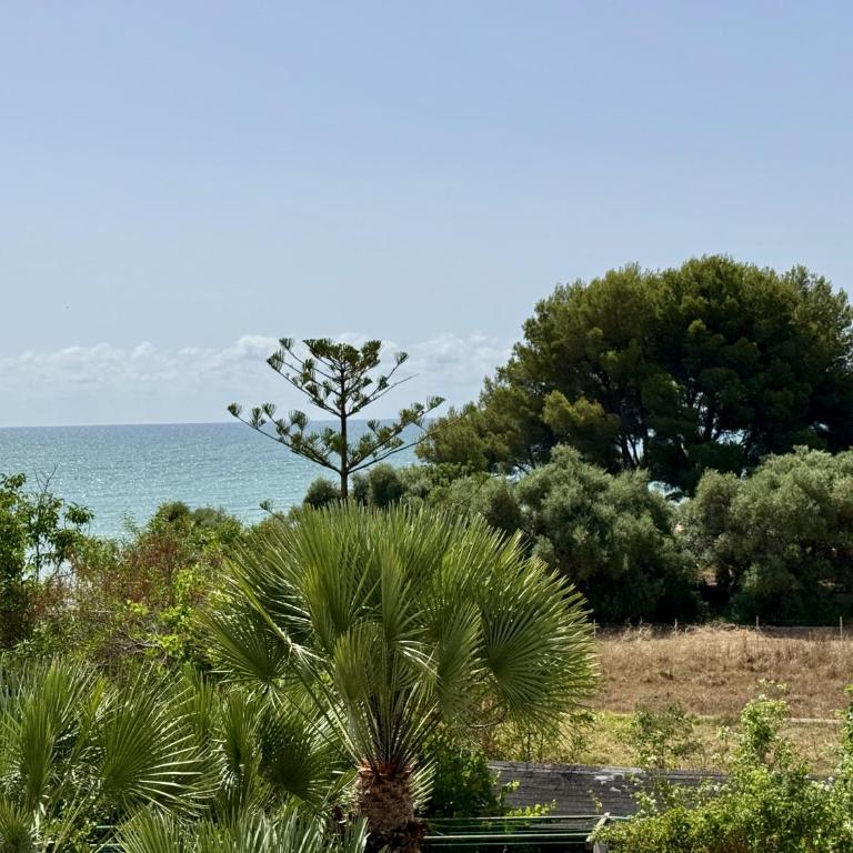 Finca del Moro - Apartamento - 22