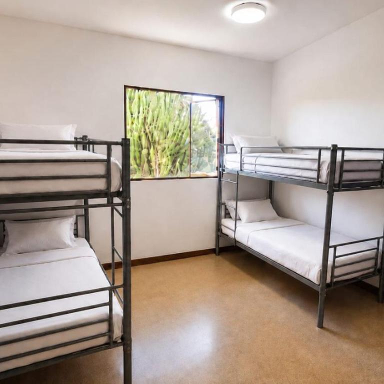 Guayaba Hostel - Bed in 6-Bed Mixed Dormitory Room - 2