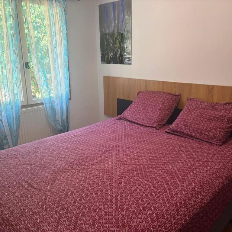 Villa de standing avec piscine à débordement, jacuzzi et jardin à 5 min du centre de Nîmes - Villa con 3 Camere da Letto - 50