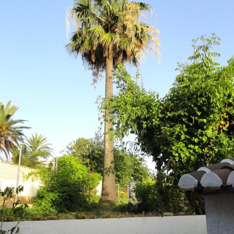 El Rafalet - Villa con Vista Giardino - 12