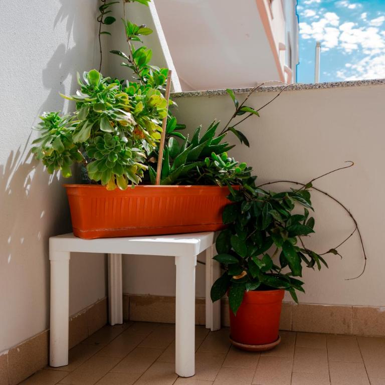Holiday Alghero Kennedy 76A - One-Bedroom Apartment - 34