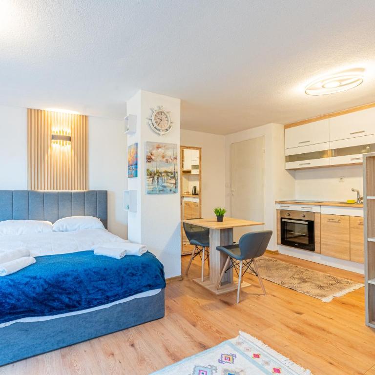 Downtown Nest Apartments & Parking - Apartman sa 1 Spavaćom Sobom - 4