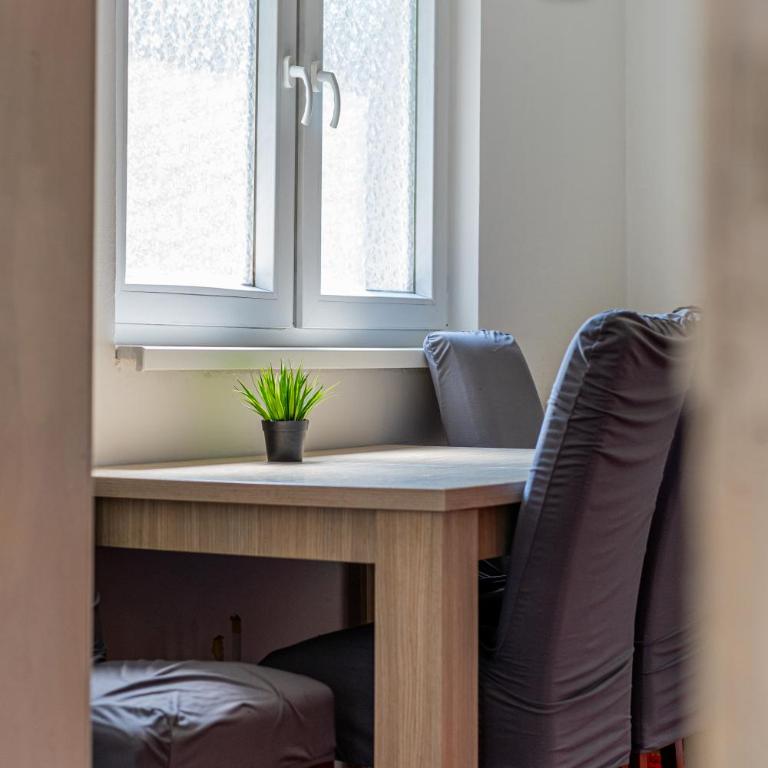 Downtown Nest Apartments & Parking - Apartman sa 1 Spavaćom Sobom - 1