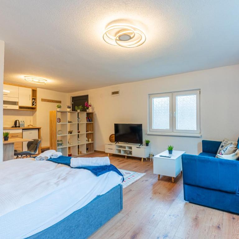 Downtown Nest Apartments & Parking - Apartman sa 1 Spavaćom Sobom - 8