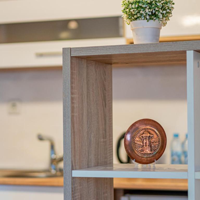 Downtown Nest Apartments & Parking - Apartman sa 1 Spavaćom Sobom - 12