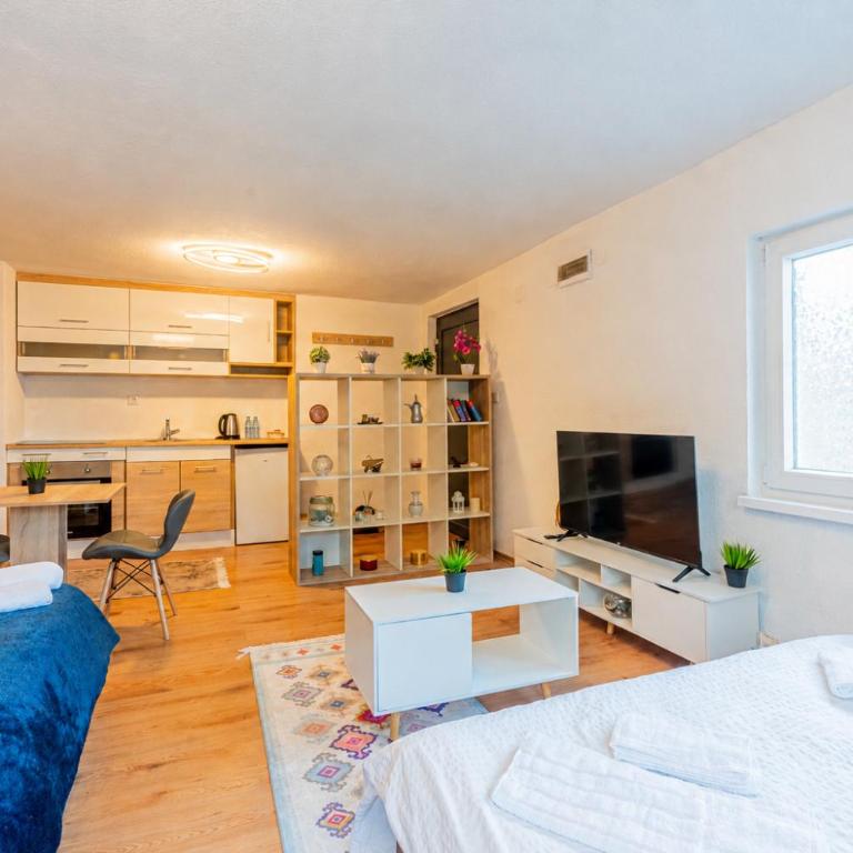 Downtown Nest Apartments & Parking - Apartman sa 1 Spavaćom Sobom - 15