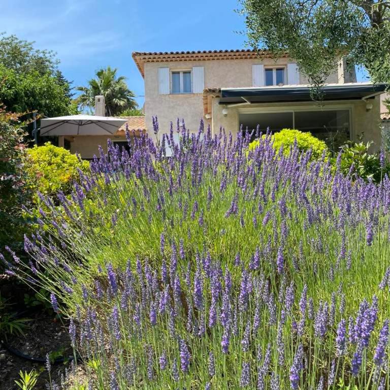 Villa Saint-Julien - Villa 3 Chambres - 14