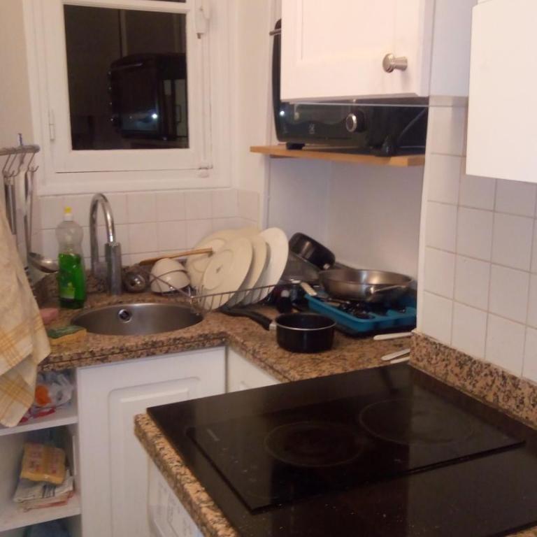 Appartement paris 11eme - Appartamento con 1 Camera da Letto - 7