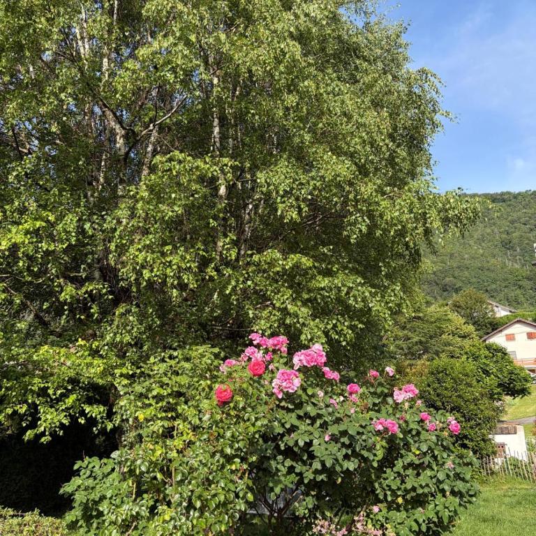 Appartement 55 m2 proche de la plage - One-Bedroom Apartment - 15