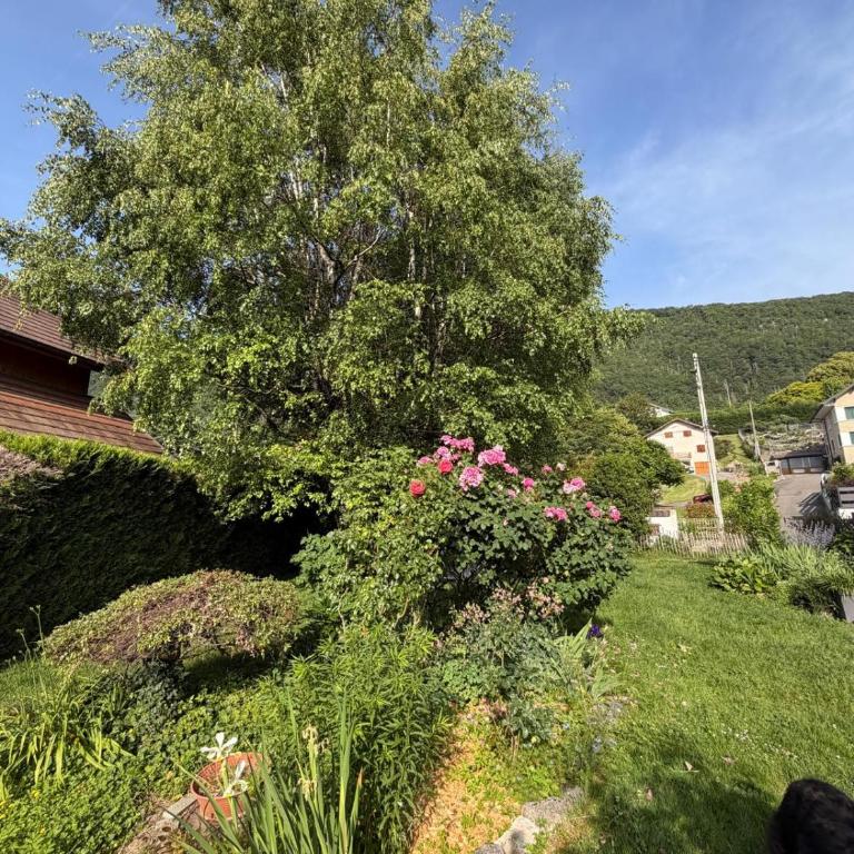 Appartement 55 m2 proche de la plage - One-Bedroom Apartment - 16