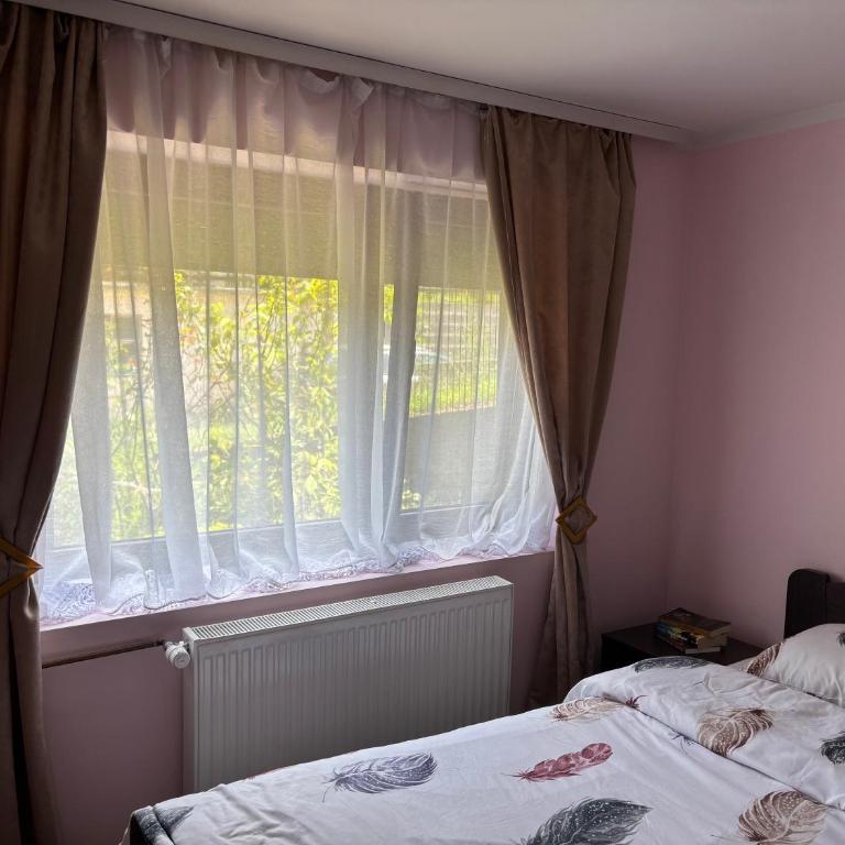Manić SB - Apartman sa 1 Spavaćom Sobom - 7