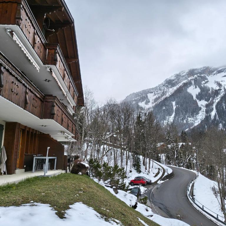 El Balcón des Diablerets - Apartment mit 1 Schlafzimmer - 8