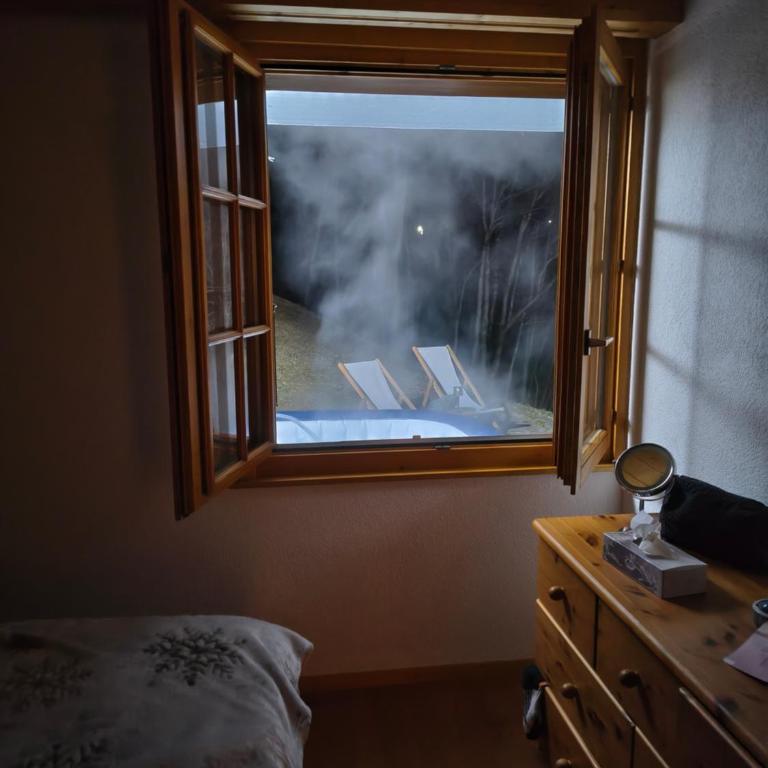 El Balcón des Diablerets - Apartment mit 1 Schlafzimmer - 32