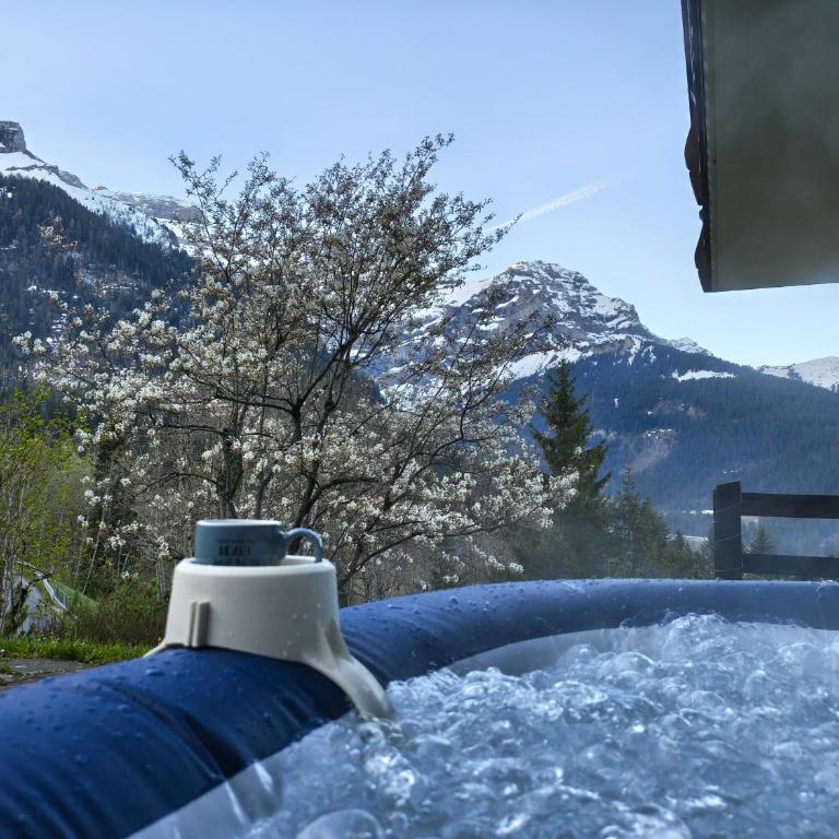 El Balcón des Diablerets - Apartment mit 1 Schlafzimmer - 31