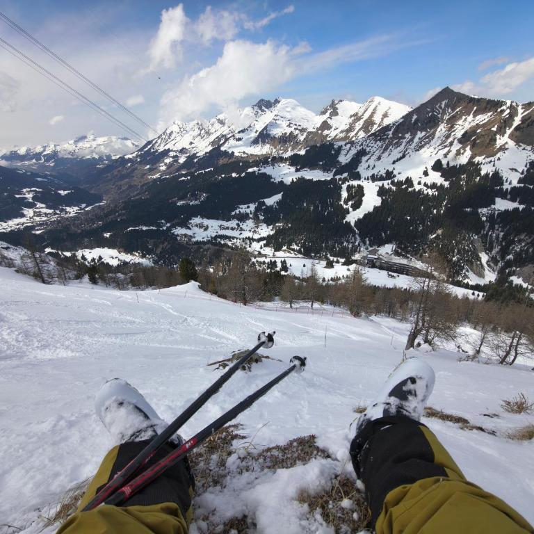 El Balcón des Diablerets - Apartment mit 1 Schlafzimmer - 40