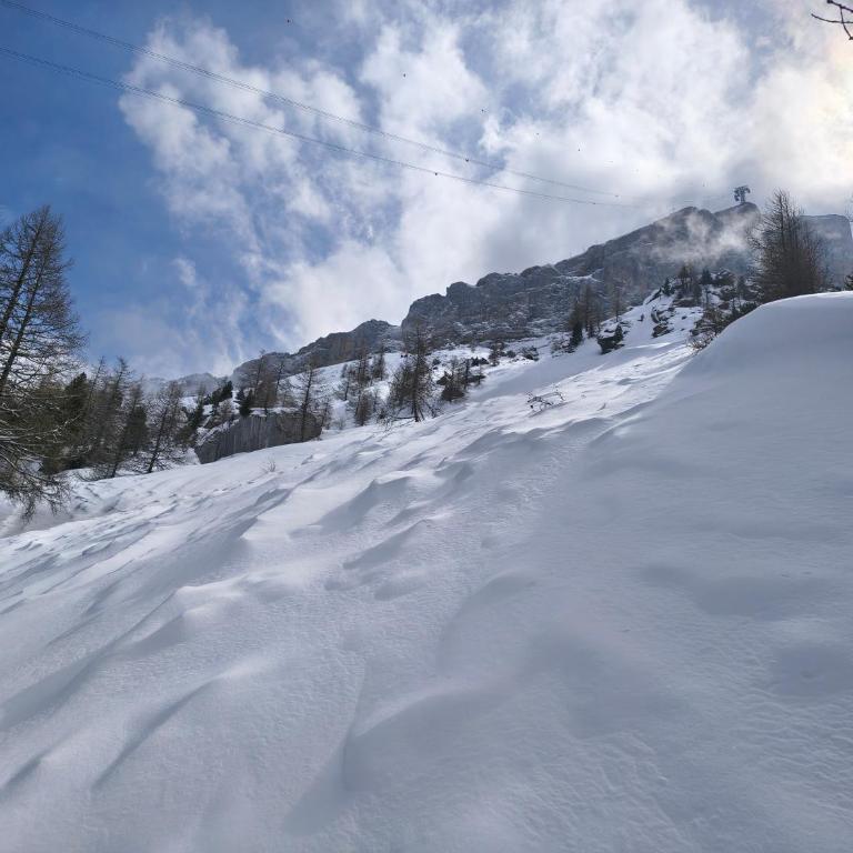 El Balcón des Diablerets - Apartment mit 1 Schlafzimmer - 42