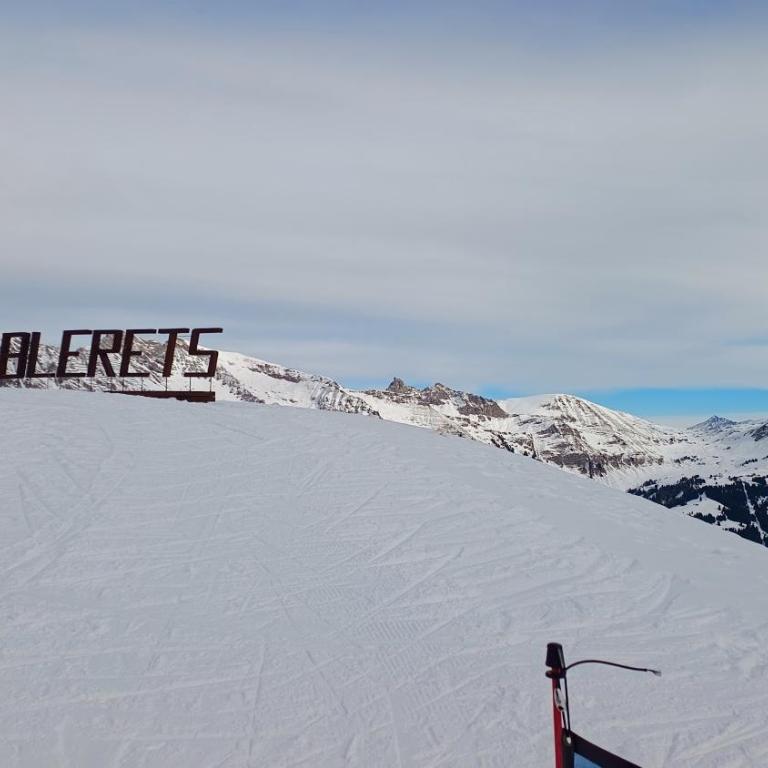 El Balcón des Diablerets - Apartment mit 1 Schlafzimmer - 38