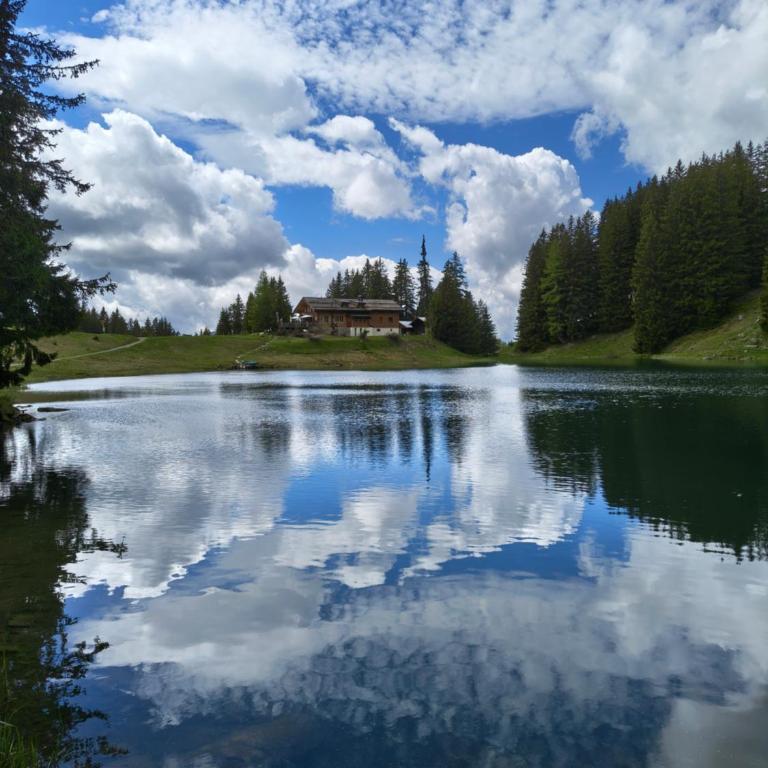 El Balcón des Diablerets - Apartment mit 1 Schlafzimmer - 39